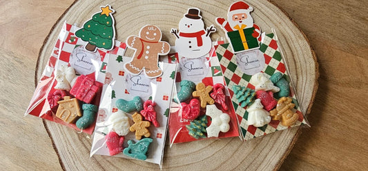 Fondant Sachet de Noël de 20g