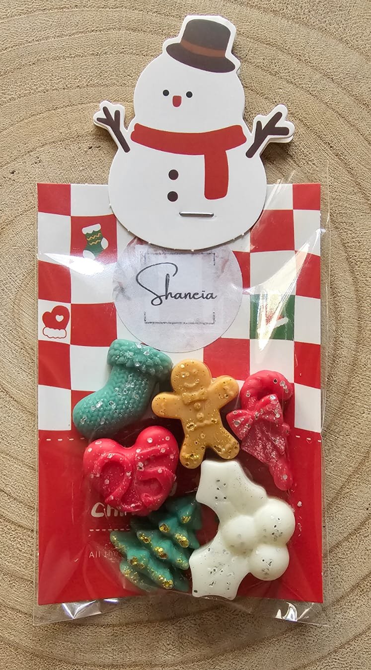 Fondant Sachet de Noël de 20g